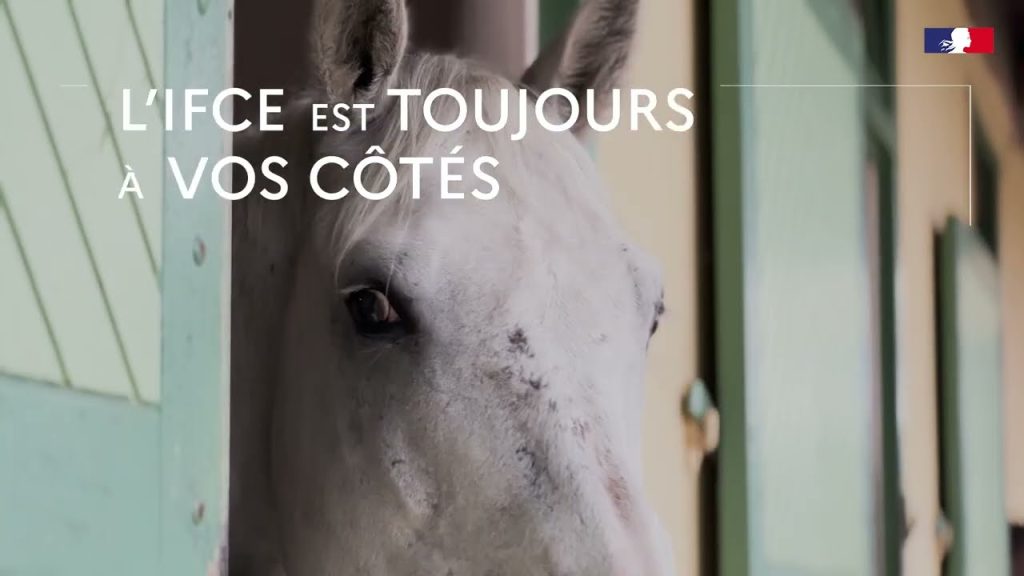 découvrez le rôle et les missions de l'ifce en 2026, un acteur clé dans le domaine équin, engagé dans la promotion, la formation et le développement du secteur.